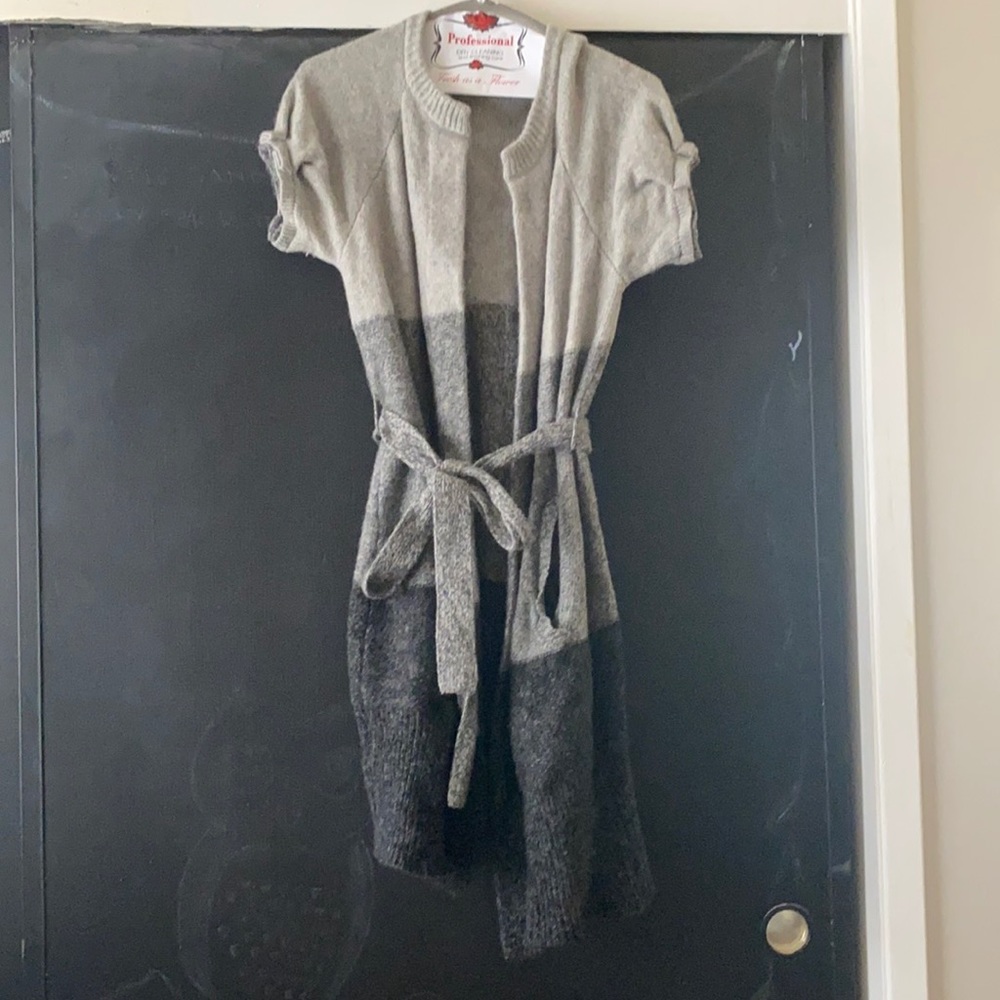 BCBG Color Block Sweater